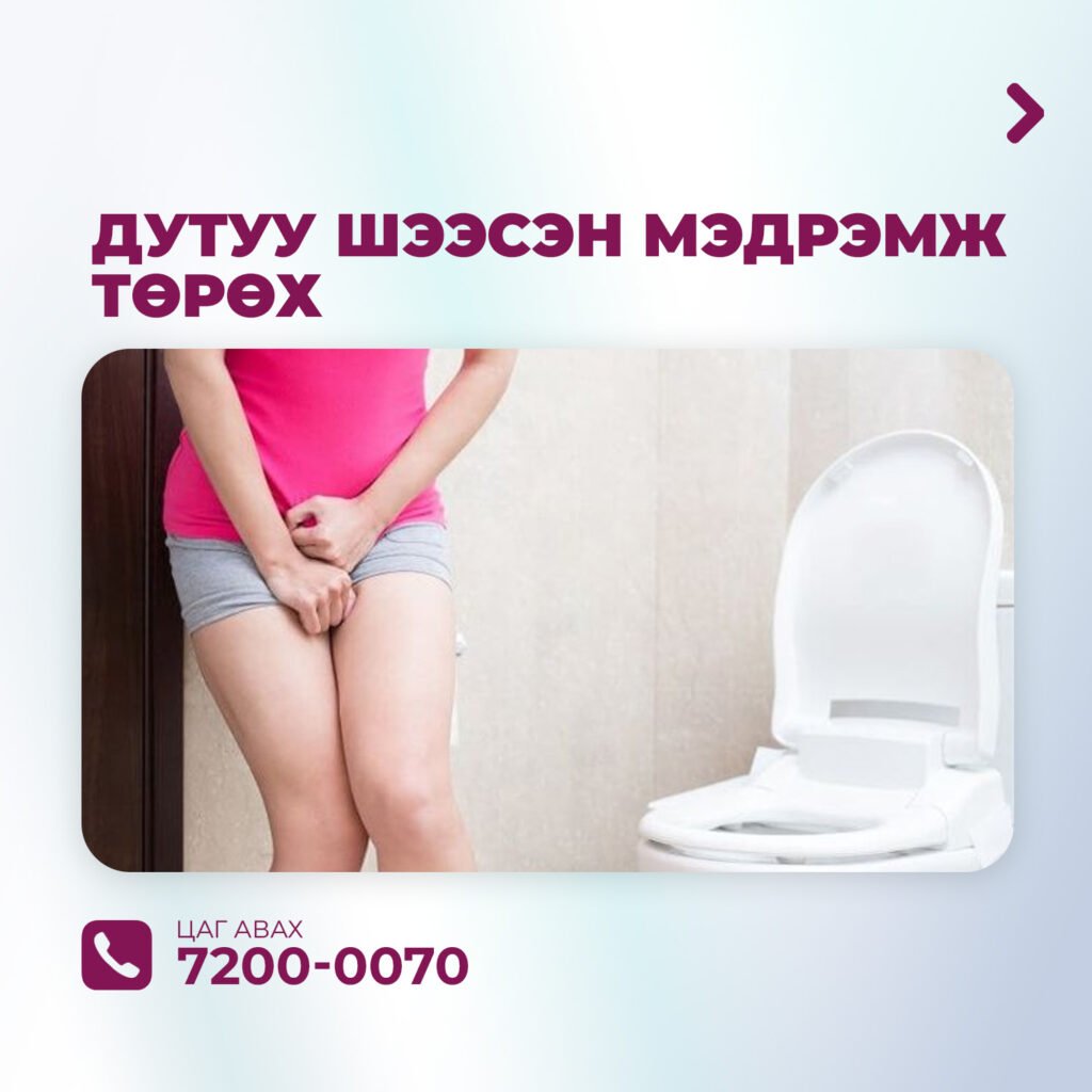 шээс задгайрах